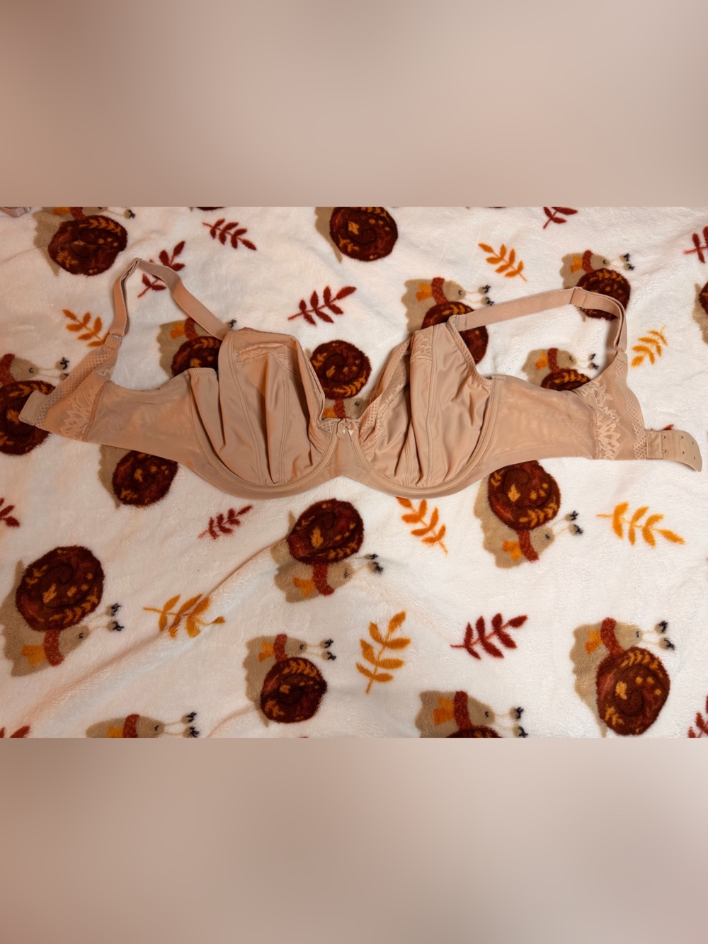 Elomi nerina bra